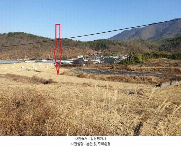 경매 이미지