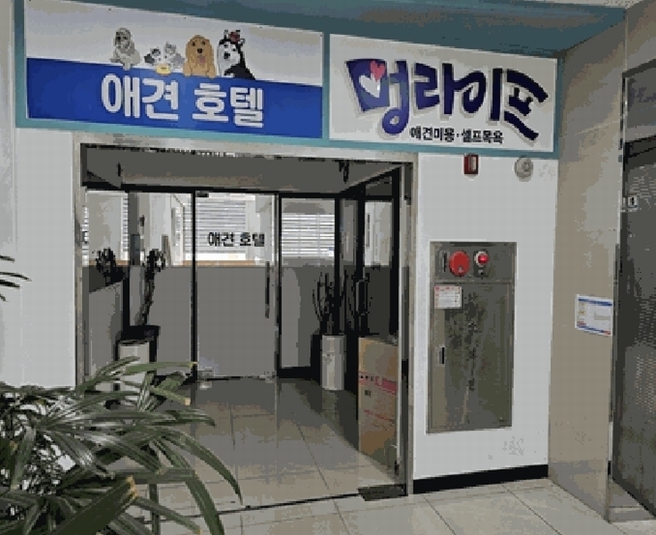 경매 이미지