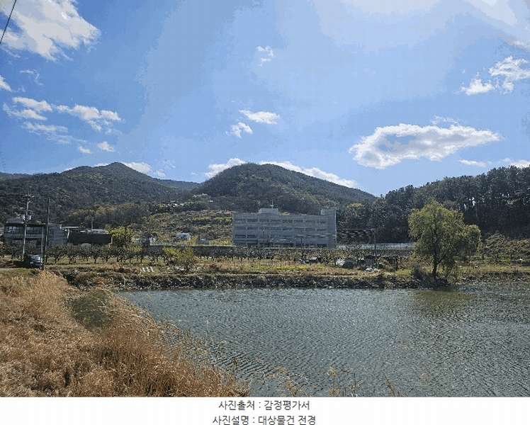 경매 이미지