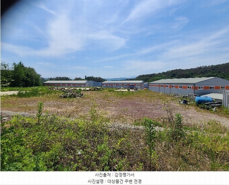 경매 이미지