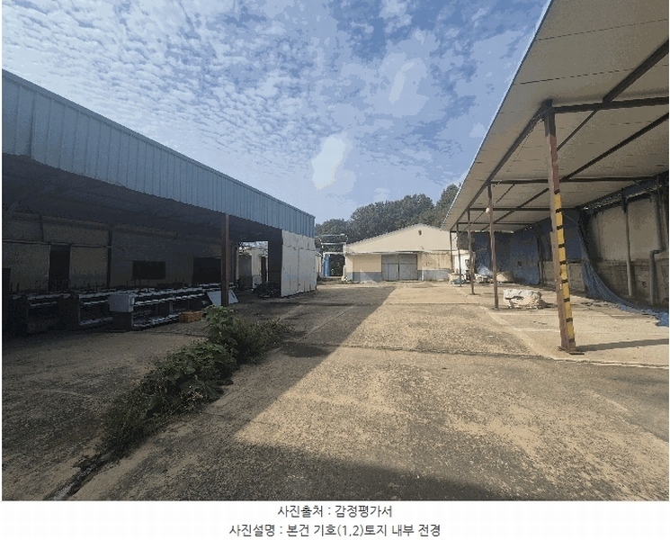 경매 이미지