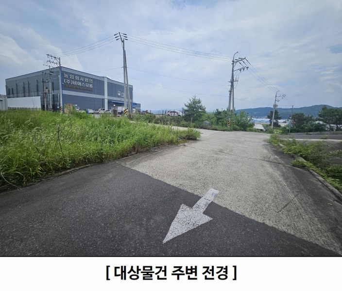 경매 이미지