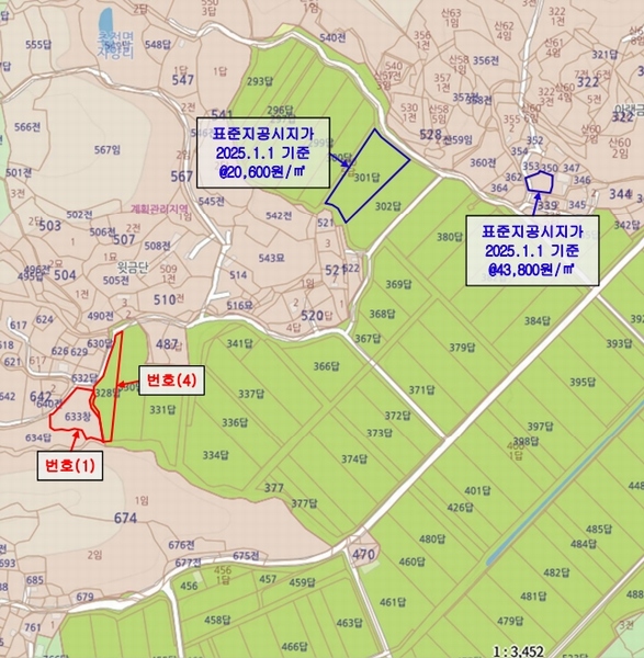 경매 이미지