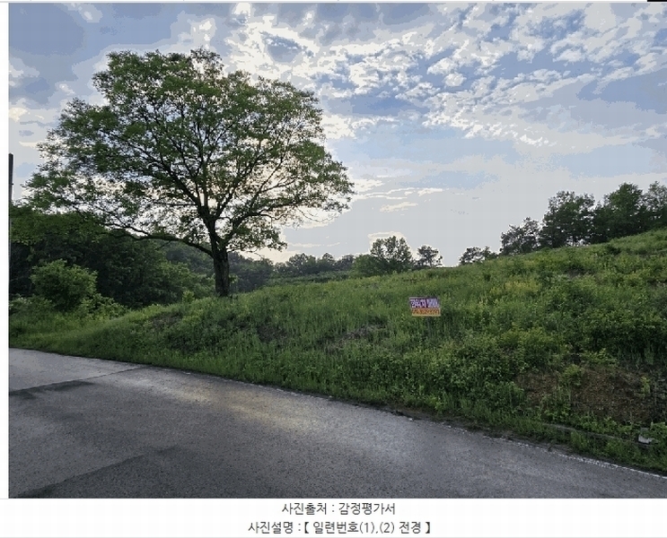 경매 이미지