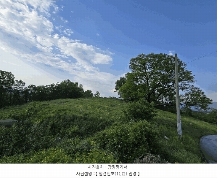 경매 이미지