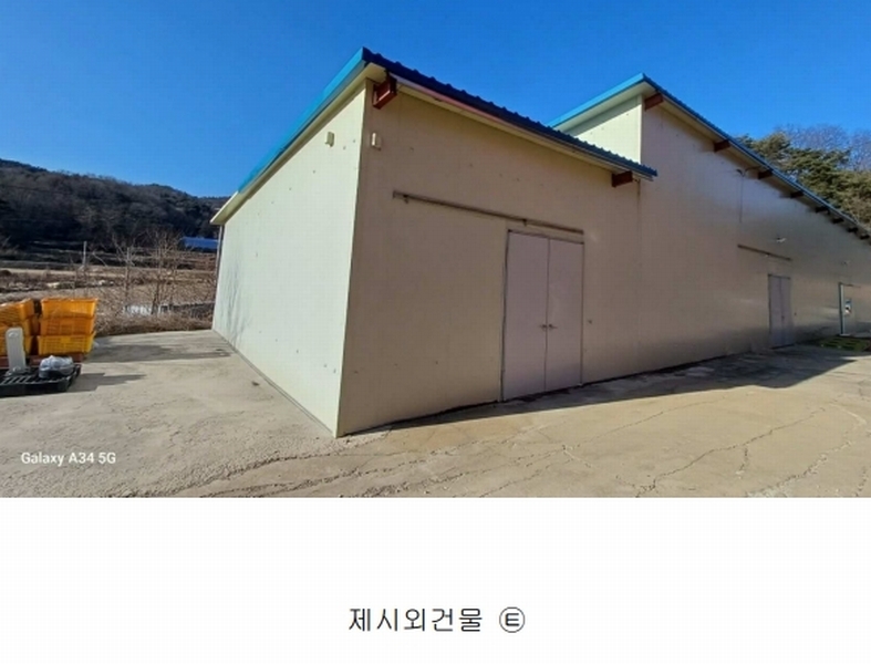 경매 이미지