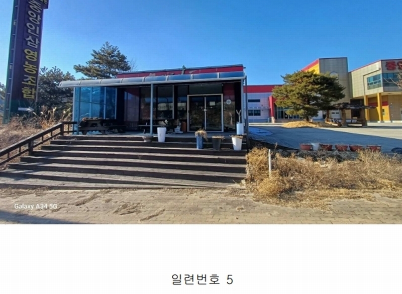 경매 이미지