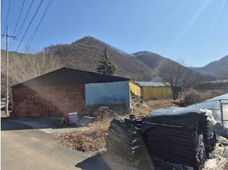 경매 이미지