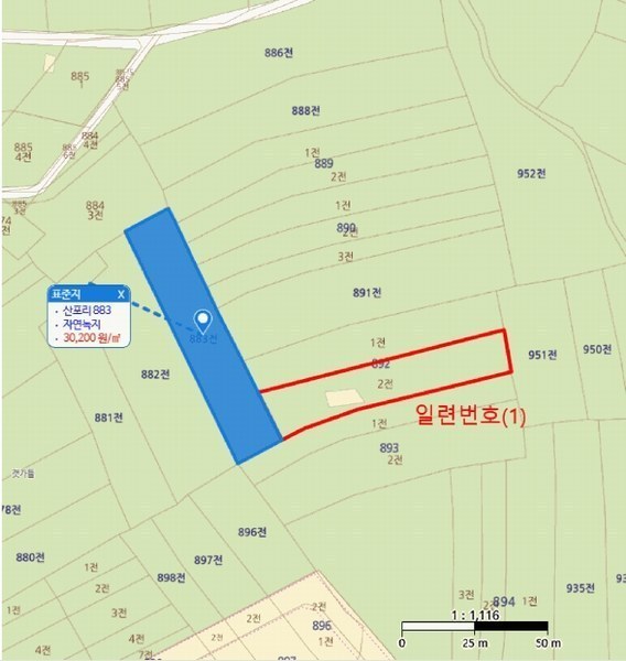 경매 이미지