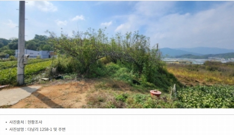 경매 이미지
