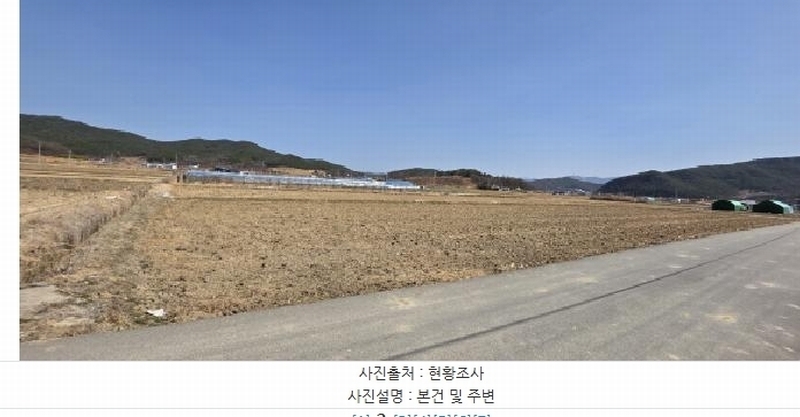 경매 이미지