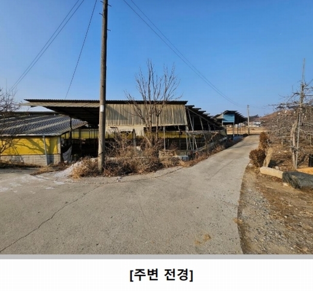 경매 이미지