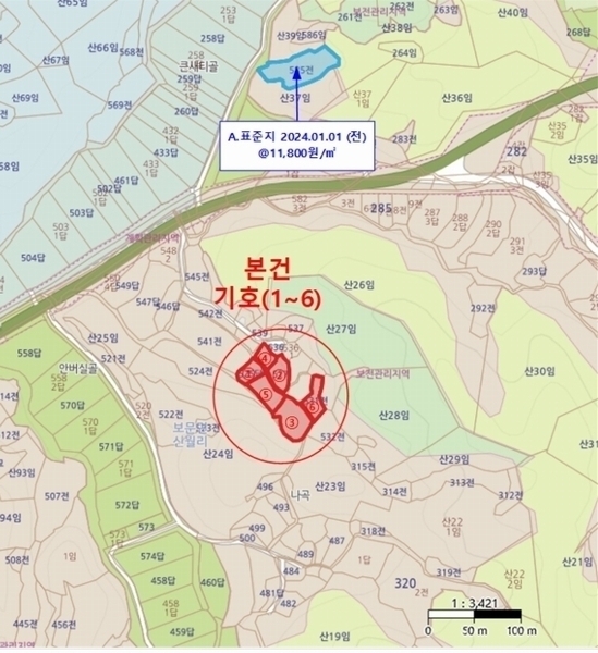 경매 이미지