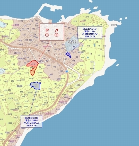 경매 이미지