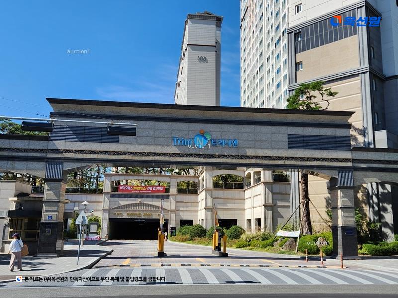 경매 이미지