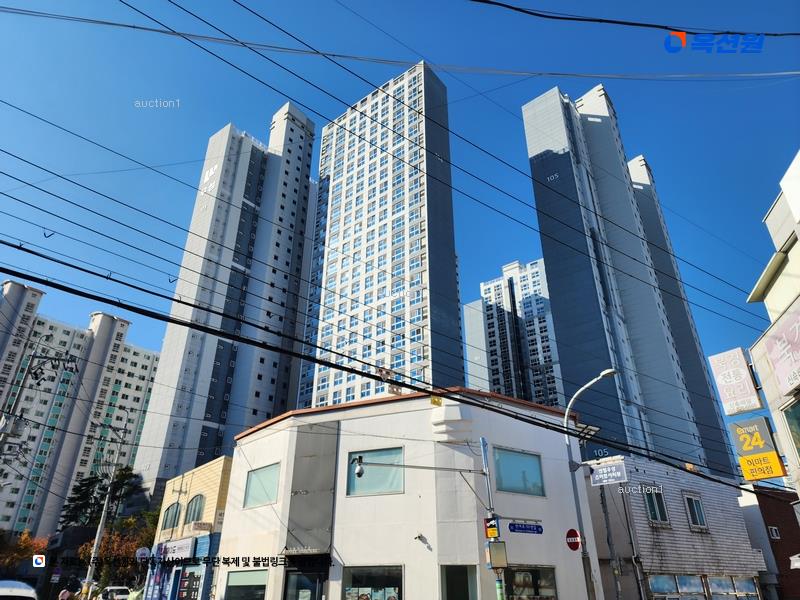 경매 이미지