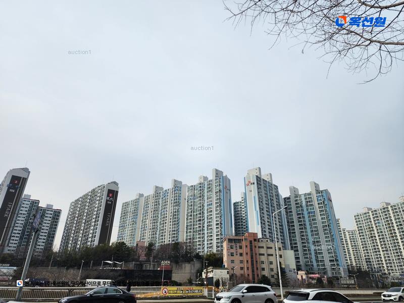 경매 이미지