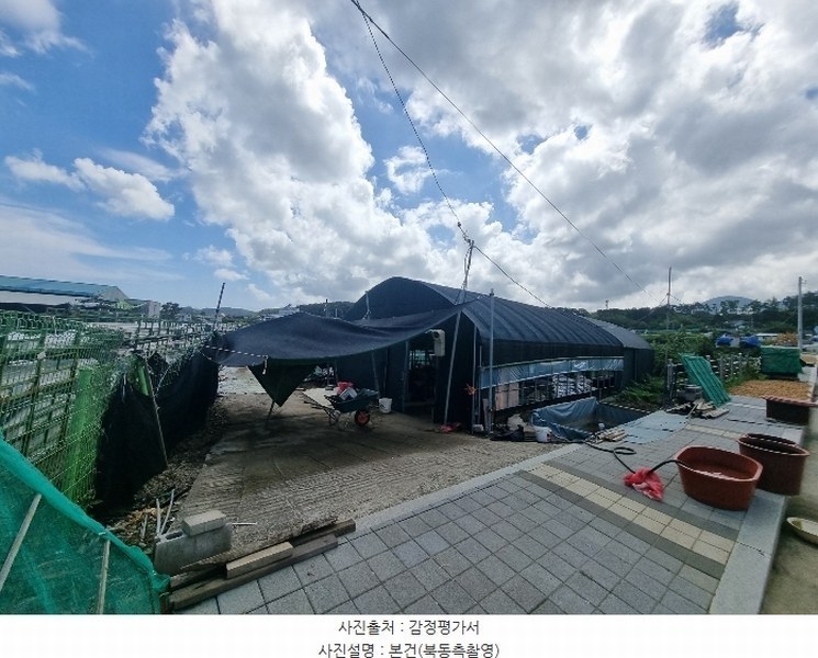 경매 이미지