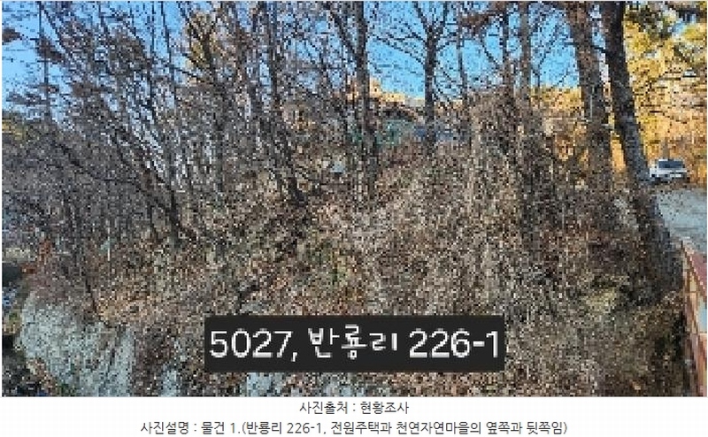 경매 이미지