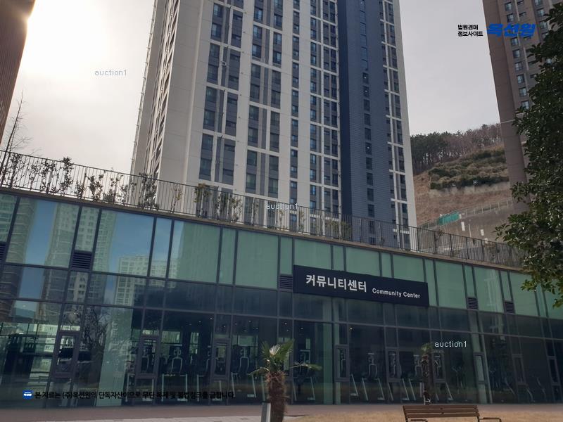 경매 이미지