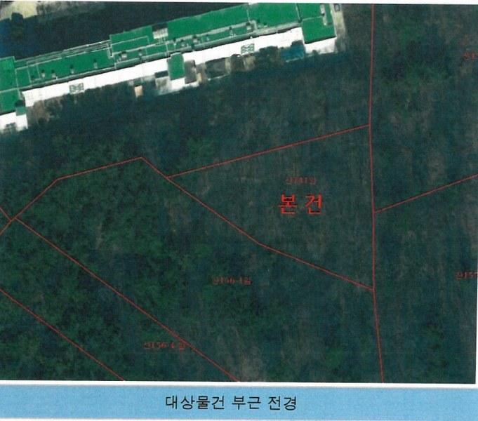 경매 이미지