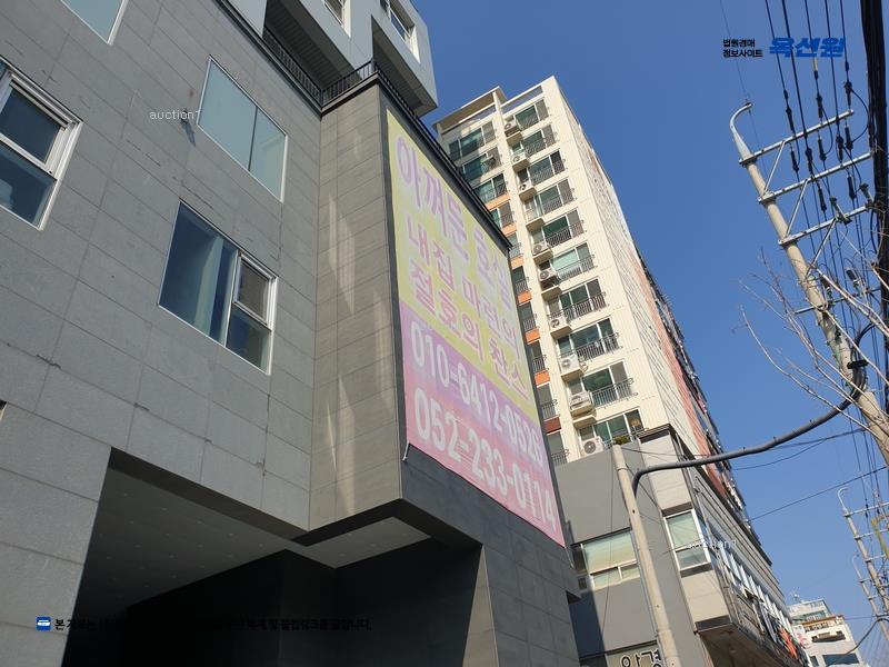 경매 이미지