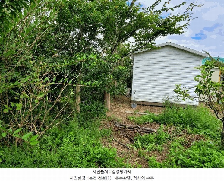 경매 이미지