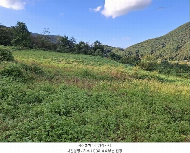 경매 이미지