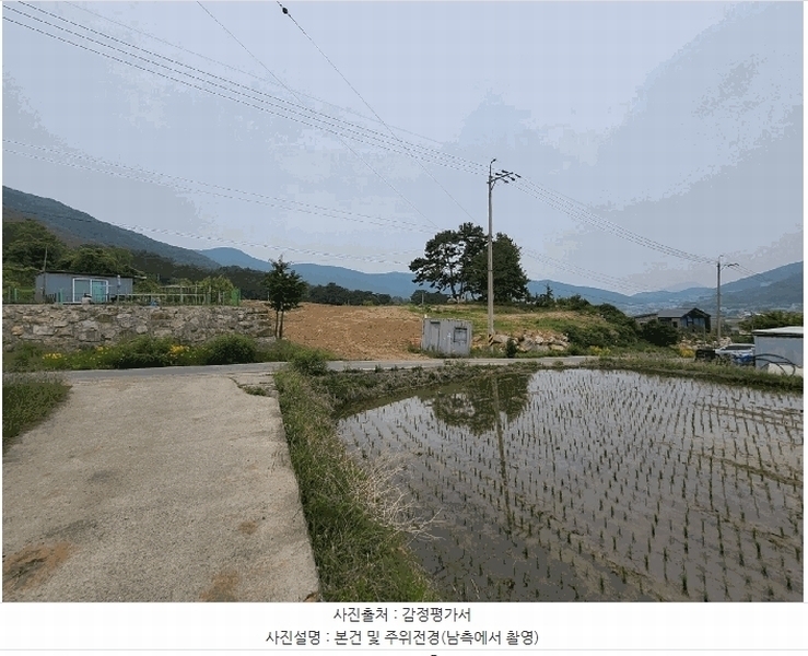 경매 이미지