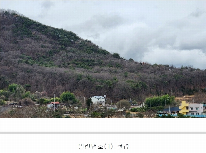 경매 이미지