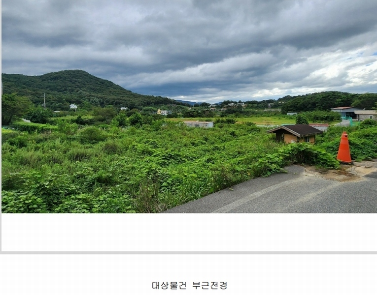 경매 이미지