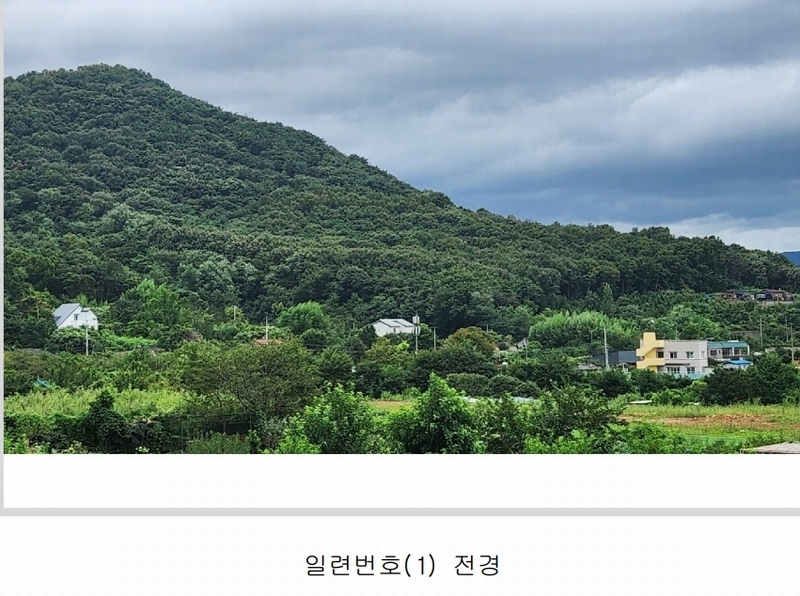 경매 이미지