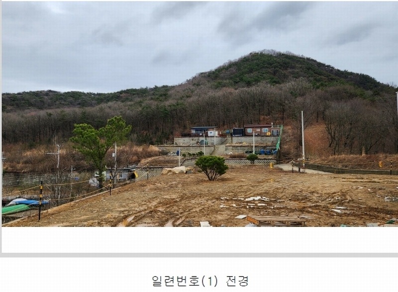 경매 이미지