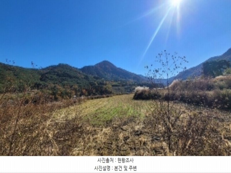 경매 이미지