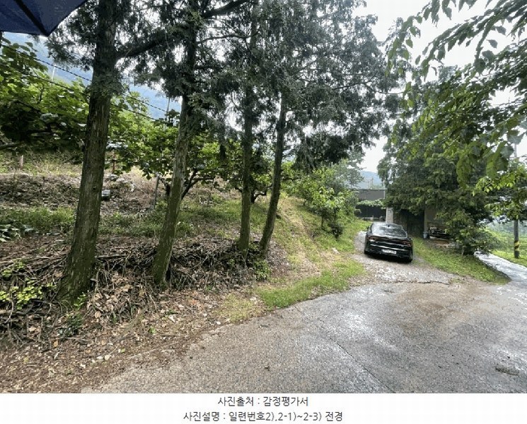 경매 이미지