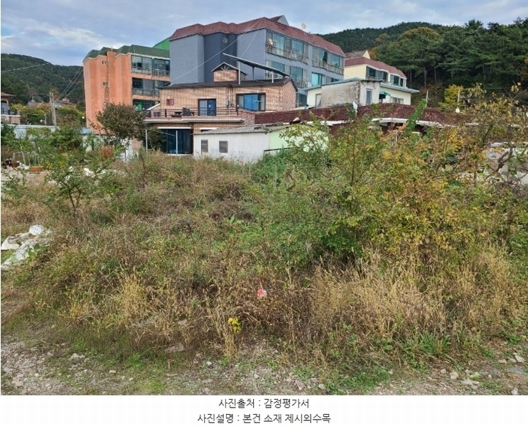 경매 이미지
