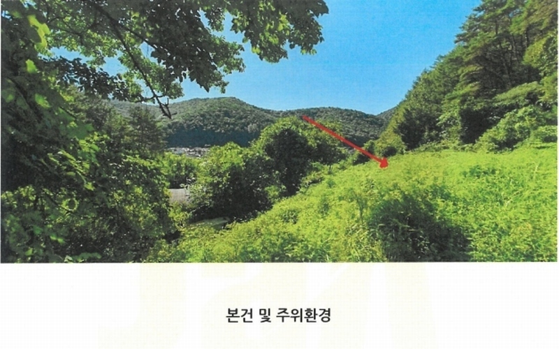경매 이미지
