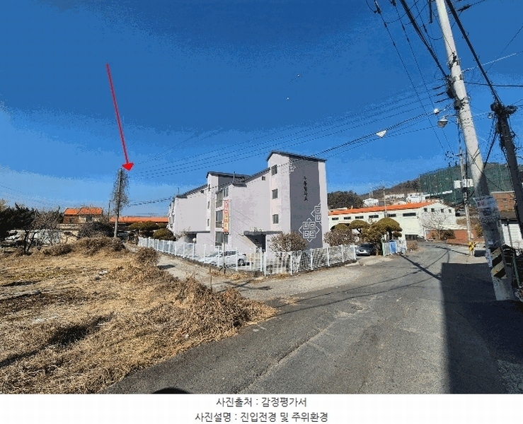 경매 이미지