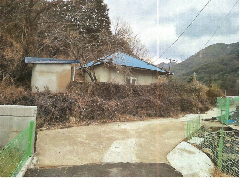 경매 이미지