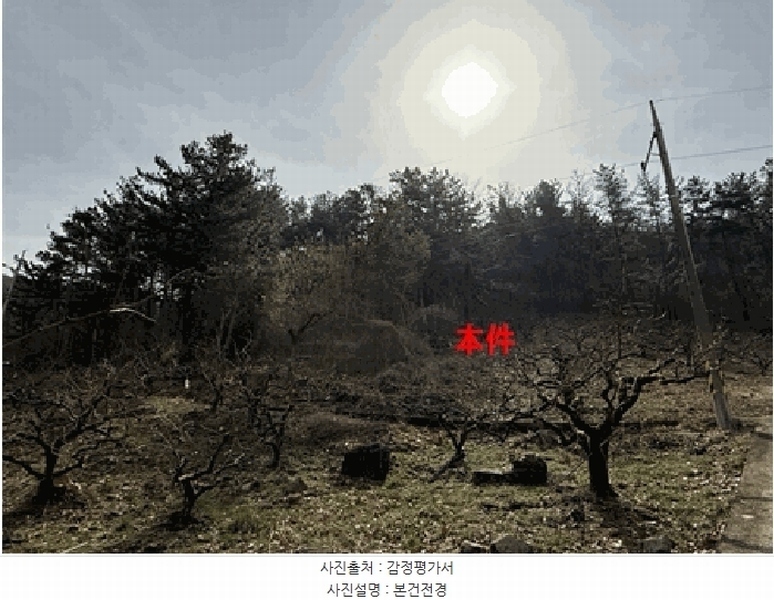 경매 이미지