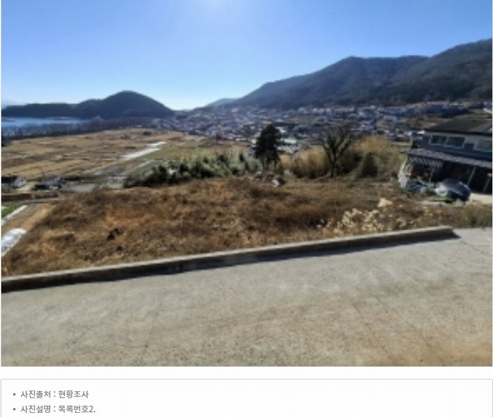 경매 이미지