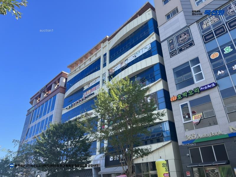 경매 이미지