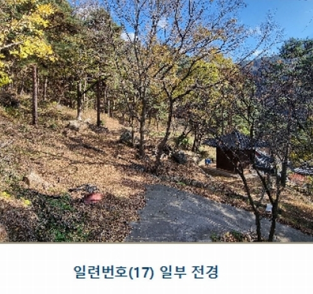 경매 이미지