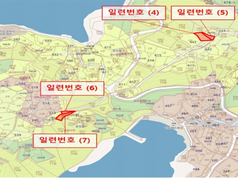 경매 이미지