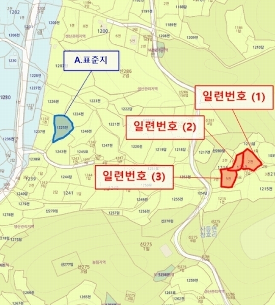 경매 이미지