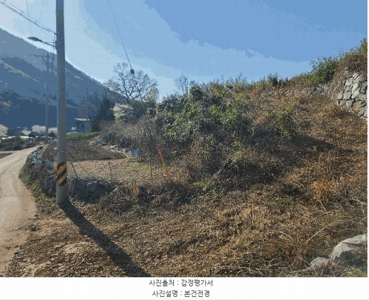 경매 이미지