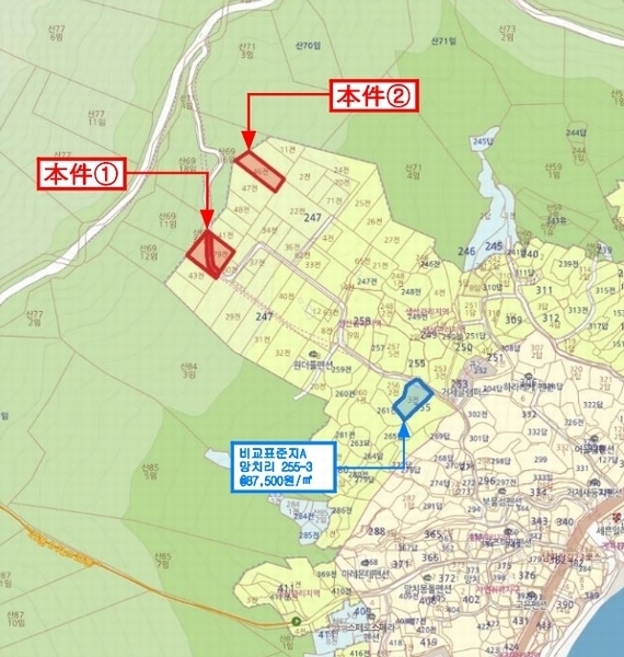 경매 이미지