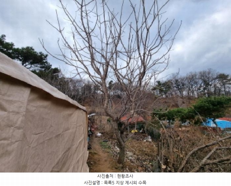2025타경3998 대전광역시 중구 석교동 248-2 농지 경매 이미지