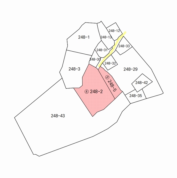 2025타경3998 대전광역시 중구 석교동 248-2 농지 경매 이미지