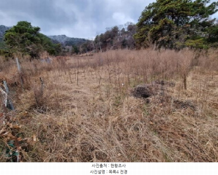 2025타경3998 대전광역시 중구 석교동 248-2 농지 경매 이미지